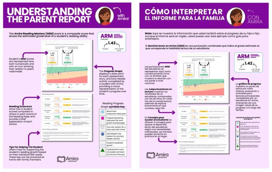  Understanding the Parent AMIRA Report